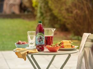 Supporting image for story: Robinsons maker Britvic rejects £3.1 billion takeover offer from Carlsberg