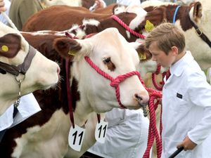 Supporting image for story: Thousands turn out for Shropshire County Show - in pictures and video