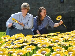 Supporting image for story: Meadow of sunflowers shine for hospice 