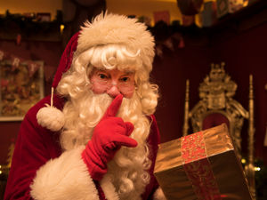 Supporting image for story: Festive fun arrives at West Midlands Safari Park as beloved 'Santa Safari' returns