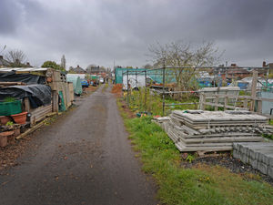 Supporting image for story: People in the West Midlands waiting six years for allotment plots as demand soars