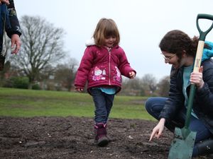 Supporting image for story: Seven Trent announce 10,000 trees planted milestone and reveal new Wolverhampton "tiny forests"