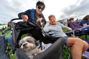 Dog Stirling and from Brighton: Simbeard, Ali and Janet