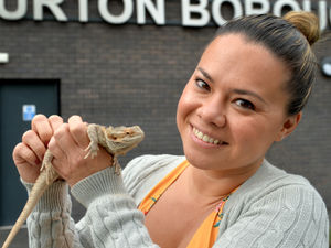 Supporting image for story: Lizard 'Monty' found in Newport school is reunited with family - and his real name is Gary