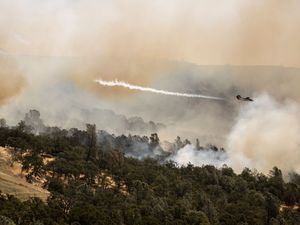 Supporting image for story: California wildfire does not grow but winds and hot weather could whip up flames