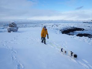 A woman walks with her dogs on a beach in Nuuk, Greenland