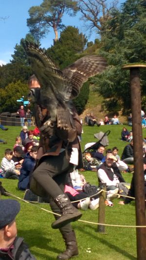 Some of the birds were within touching distance while other swooped right above our heads