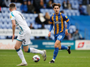 Supporting image for story: Dave Edwards: Shrewsbury can push on for top half after a deserved win