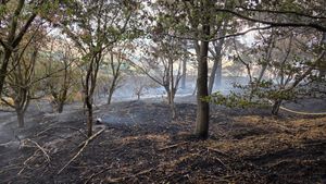 The aftermath of the Pulverbatch blaze. Picture: Amber Watch Wellington