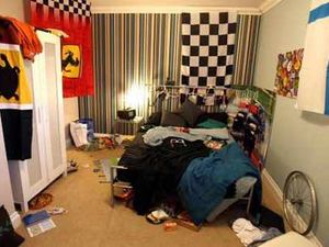 Supporting image for story: Landlords: How clean is your house?