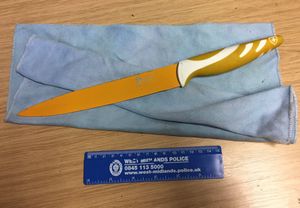 A knife seized from a 15-year-old girl in Wolverhampton this week