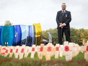 Supporting image for story: Royal British Legion Field of Remembrance opens at National Memorial Arboretum