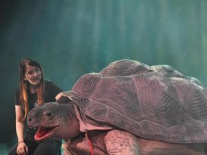 Supporting image for story: Learn about wonders of nature at unique show