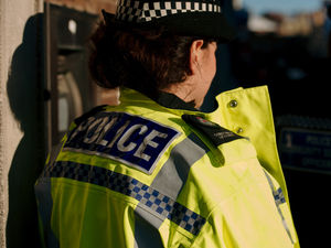 Supporting image for story: Arrest made after herd of cows stolen from farm found 120 miles away