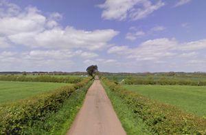 The proposed site of a new chicken farm, off the A5 in Sherriffhales. Photo: Google
