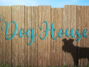 Supporting image for story: Channel 4’s The Dog House seeks loving homes in Shropshire as rescue centres feel the strain