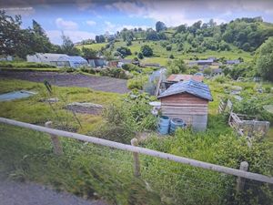 Supporting image for story: The cost of making a dangerous gap safe and re-surfacing a road at Knighton allotments is being considered by the town council