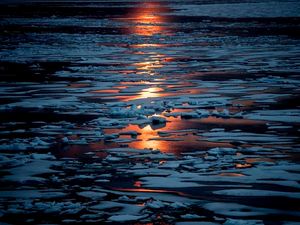 Supporting image for story: Check your compass: Magnetic north pole is on the move