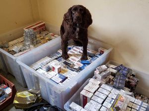 Supporting image for story: More than 112,000 illegal cigarettes seized after series of raids in Walsall
