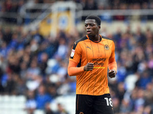 Supporting image for story: Dominic Iorfa in Wolves Premier League squad list