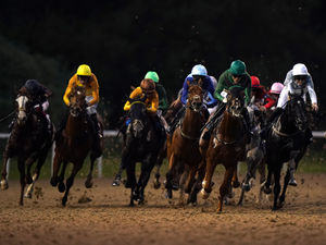 Supporting image for story: Wolverhampton Racecourse: preview and tips for Saturday’s eight-race all-weather card