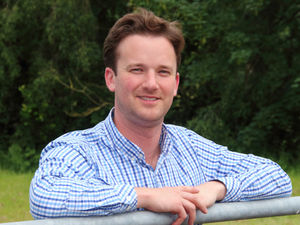 Supporting image for story: Calls were a Covid lifeline