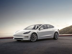 Supporting image for story: The car manufacturers that won big in 2019