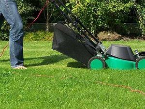 Supporting image for story: Free Cannock elderly services to be extended