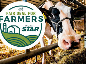 Supporting image for story: Brexit: Family farms warning for future after referendum