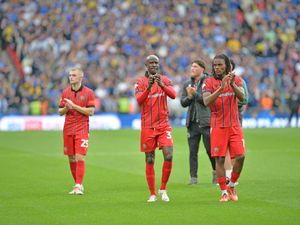 Supporting image for story: Walsall end of season survey: Have your say on the Saddlers' campaign!