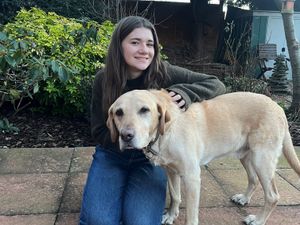 Supporting image for story: Teenager's fundraising dog walk along Wenlock Edge makes tails wag at animal charity