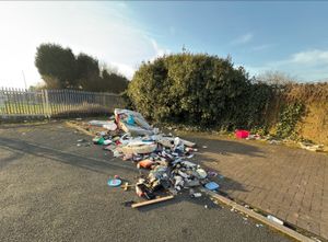 A waste carrier has been successfully prosecuted after a large amount of household rubbish was fly-tipped in Bilston
