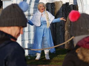 Supporting image for story: Families can share magic of Christmas at zoo 