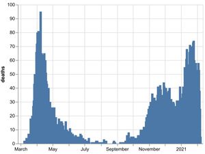 Supporting image for story: Further 38 coronavirus deaths at region's hospitals