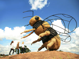 Supporting image for story: Giant bee with a message at organic farm