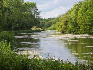 Supporting image for story: Planners refuse permission for poultry unit close to ‘precious’ chalk stream