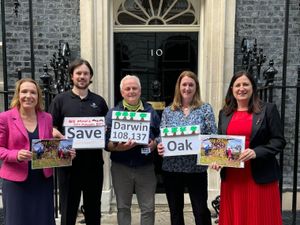 Supporting image for story: Petition to save Shrewsbury's 550-year-old 'Darwin Oak' handed to Downing Street