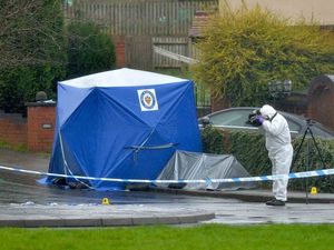 Supporting image for story: Crossbow murders show dangers of growing cannabis, says top judge