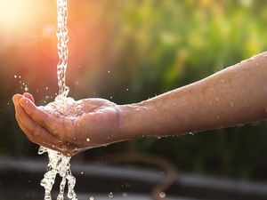 Supporting image for story: A low-cost water sensor could stop millions of lives being put at risk