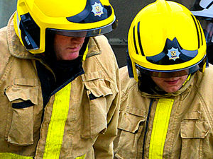 Supporting image for story: Firefighters rescue cow from slurry pit at Shropshire farm