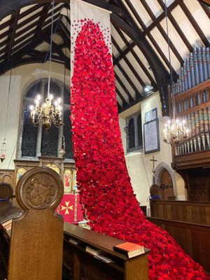 The Poppy display in Whittington