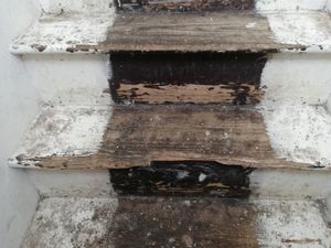 Supporting image for story: £9k fine for landlord who left mother-of-two's flat with damaged stairs and shower held together with tape