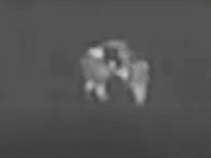 Supporting image for story: WATCH: Woman hugs police officer after being saved from Sutton Park swamp