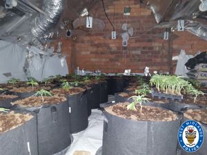 The day of action saw drugs and cash seized across the region. Photo: West Midlands Police