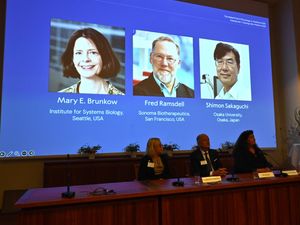 Supporting image for story: Nobel Prize in Medicine honours work on peripheral immune tolerance