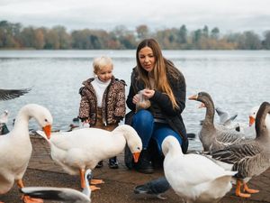 Supporting image for story: Budding nature photographers sought as Shropshire museum launches new competition
