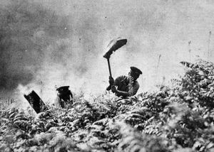 Supporting image for story: 'People having these treatments may be unaware that this industry is as yet largely unregulated' - Your Letters: August 16