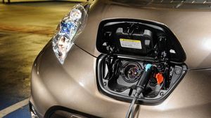 Supporting image for story