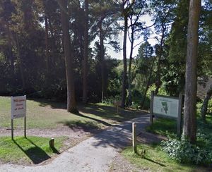 Lickey Hills Country Park. Taken from Google Street View.