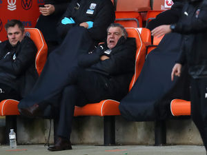 Supporting image for story: Sam Allardyce bemoans lack of concentration as West Brom dumped out of FA Cup